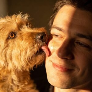 Close‑up van hond die zachtjes het gezicht van een man likt — symbool voor vertrouwen, genegenheid en welzijn bij senior honden.